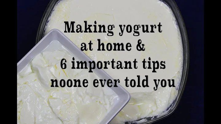 Homemade Yogurt Natural & Plain, 6  Tips You've Never Heard Before - DayDayNews