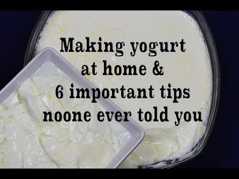 Homemade Yogurt Natural & Plain, 6 Tips You've Never Heard Before