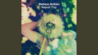 Video thumbnail of "Stefano Bollani - Reginella"