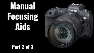 Manual Focusing Aids Explained (Part 2 of 3)- EOS R5/R6 Tip 43
