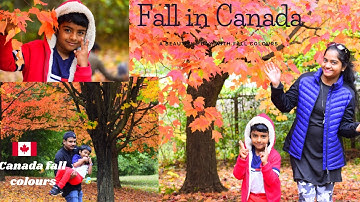 Canada Autumn Colours|4K Fall video|Red Maple Leaves|Fall Foliage |4K video Canada Travel