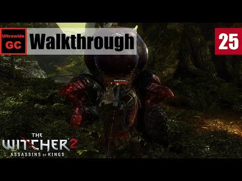 The Witcher 2 [#25] - Chapter 1 - The Endrega Contract || Walkthrough