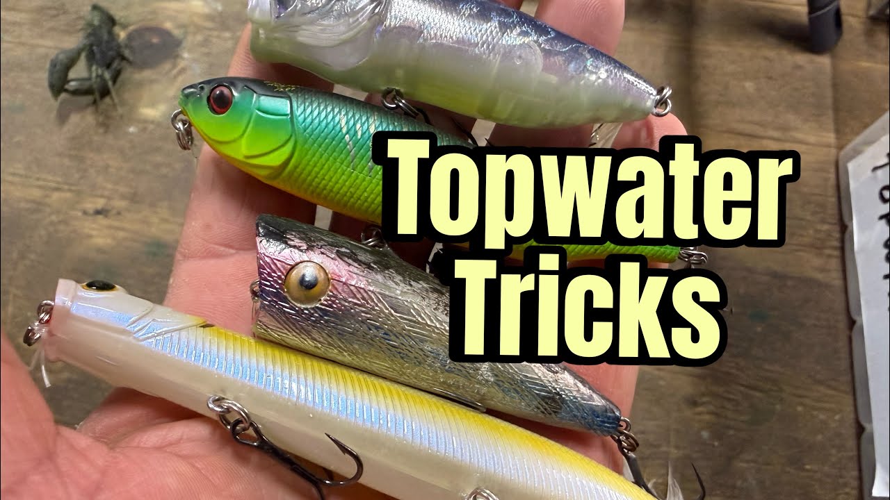 Springtime Topwater Tricks That Produce Quality Bass…