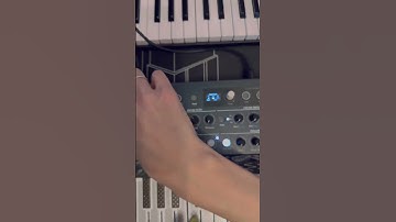 Vocal chaos with the MicroFreak 🎹 #avisvox #techno #arturia #microfreak #synth #synthesizer