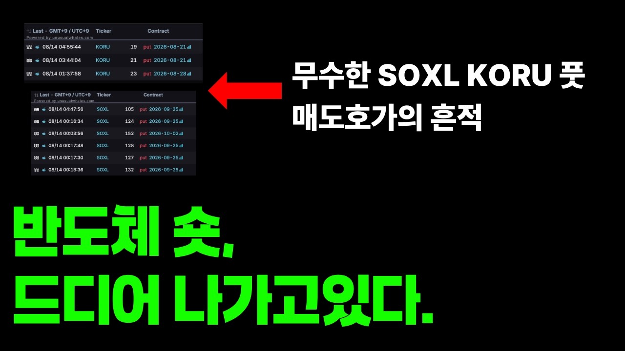 드디어 반도체 숏 포지션이 나가고있다.