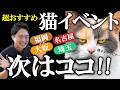 【次に会えるのはココ!】にゃんだらけ20in東京(猫イベント出店)を終えて!次回イベントスケジュールも公開!