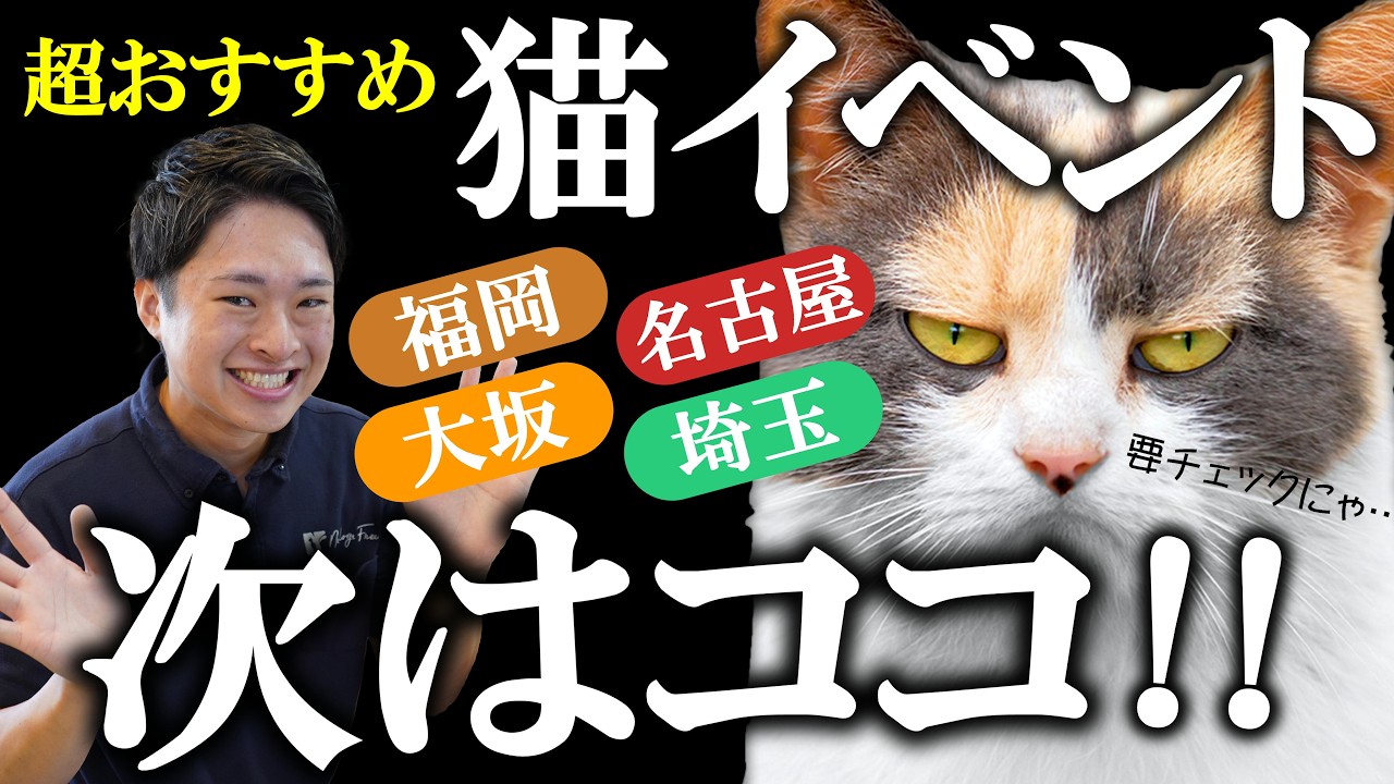 【次に会えるのはココ!】にゃんだらけ20in東京(猫イベント出店)を終えて!次回イベントスケジュールも公開!