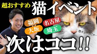 【次に会えるのはココ！】にゃんだらけ20in東京（猫イベント出店）を終えて！次回イベントスケジュールも公開！