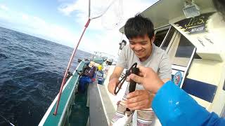 とっても美味しい旬のイサキを狙いに　2020年5月末　千葉県大原港長福丸さんでの　とっても簡単で釣れるアミエビコマセ・イサキ釣り