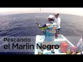 Pesca de Marlin Negro en Puerto Escondido con el Club "Fragatas".