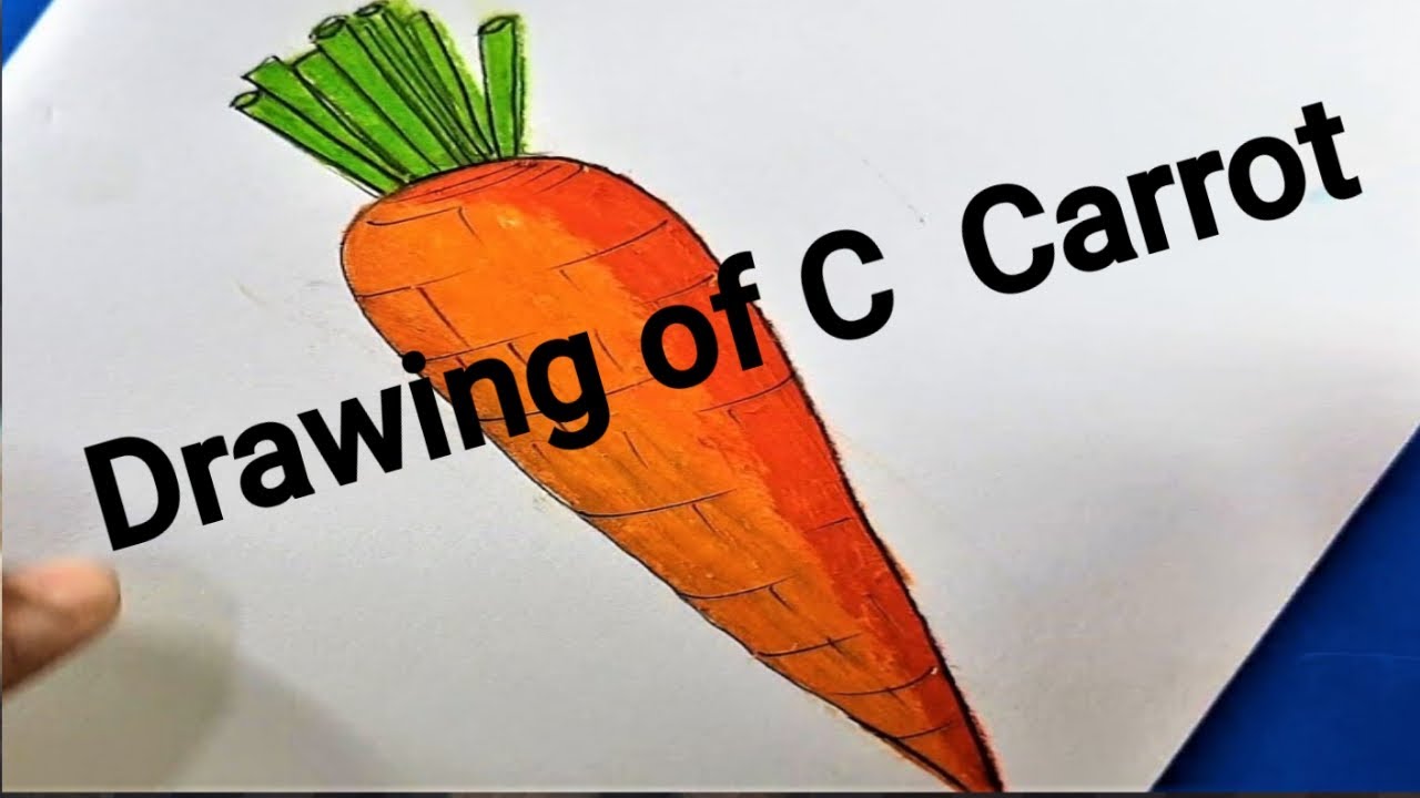 Drawing of Carrot KIDS LEARNING URDU/ENGLISH/ HINDI YouTube