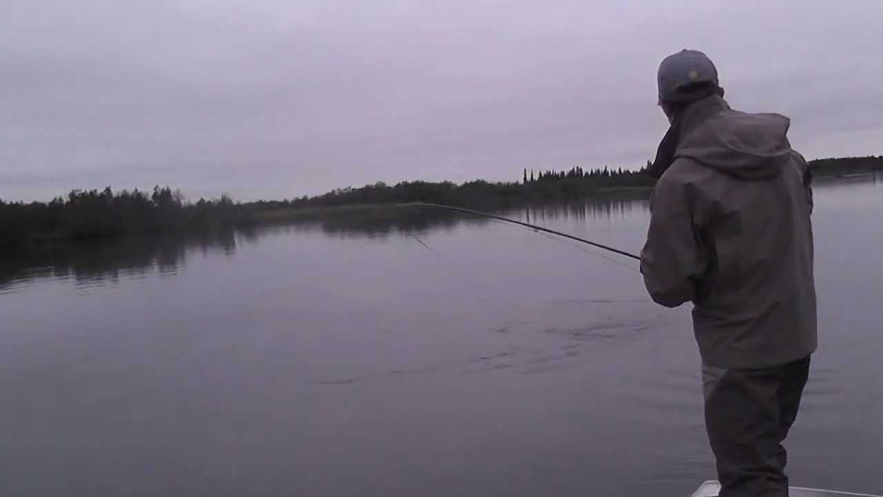 PESCA EN ALASKA SALMON KING YouTube