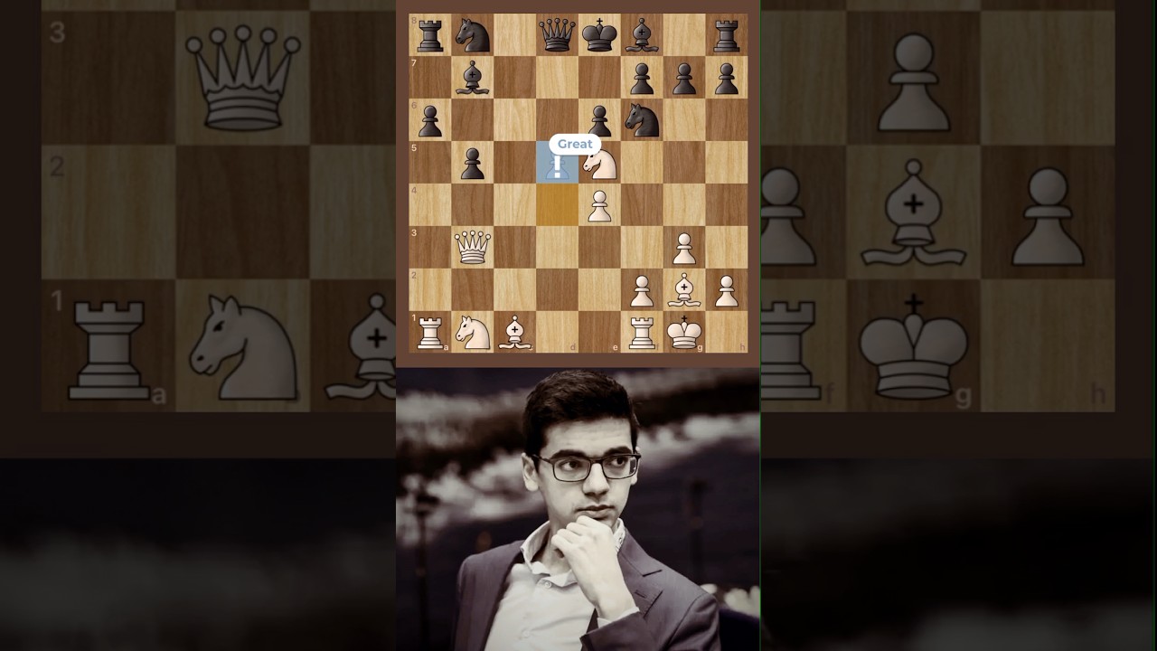 Anish Giri Masterclass 🇳🇱✨ Bishop And Knight Brilliancy ☠️ 
