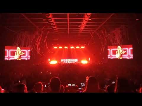 03 - LION x CASINO - Vuelo