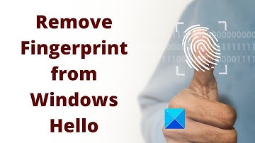 How to remove Fingerprint from Windows Hello in Windows 11/10