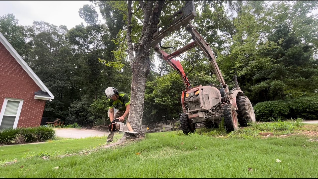 SOLO TREE REMOVAL JOB: 2 trees start to finish in 3 hours - YouTube