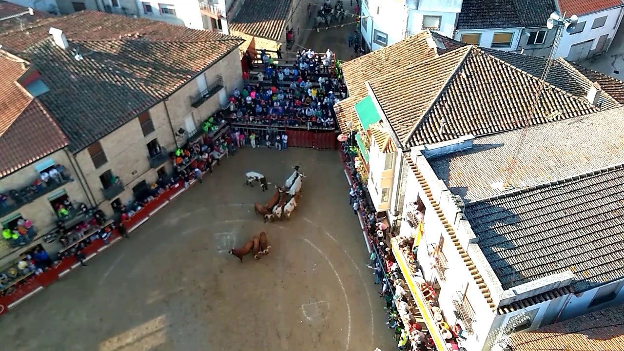 Encierro - 28 Agosto 2019 - Aldeadávila de la Ribera