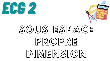 Diagonalisation PARTIE 2 : sous-espace propre