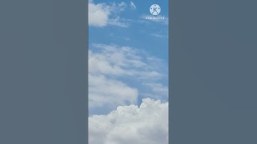 التائبون العابدون الحامدون🌼ايات من سورة التوبة 🌼القارئ الشيخ ماهر المعيقلي🌼🌸