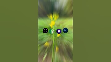 colour grading in mobile #snapseed #nature #lightroom