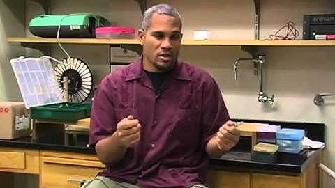 The D Lab at MIT  Innovations for and by Developing Nations SD clip26