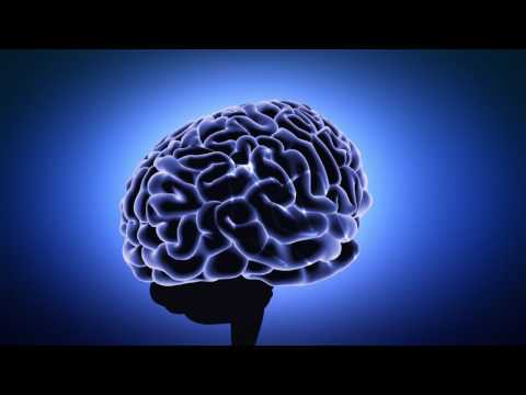 human brain animation