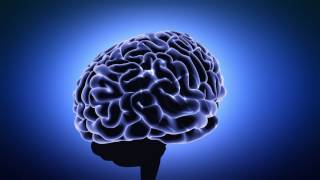 3d Animation  - Medical Brain