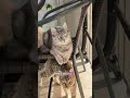 Bienvenue dans la communauté Bab’in 🤍