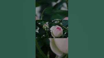 Surat Al Layl سورة الليل.quranic insights