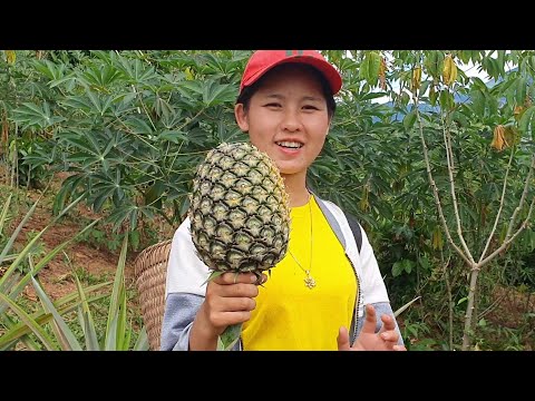 Video: Muffins Nrog Txiv Puv Luj Rau Tshuaj Yej