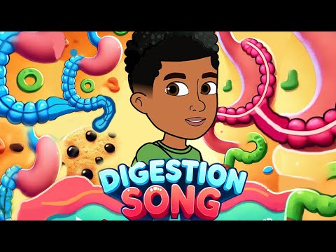 Fun Digestive System Song For Kids
