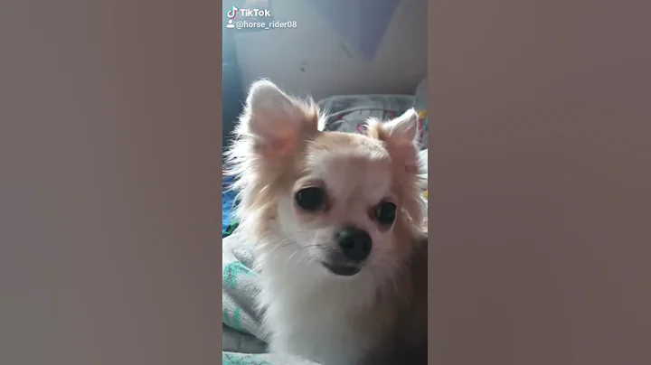 fifi is cute