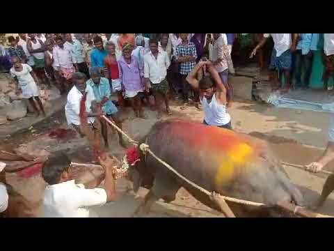 Beduduru ugadi