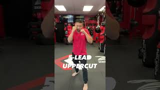 Punch King Fitness - Punching Instructional Video.