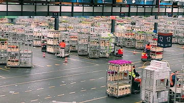 2023_04  Aalsmeer Royal FloraHolland Flower Auction, Amsterdam, Netherlands