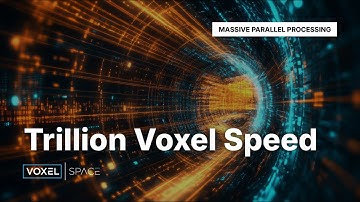 Massive Parallel Processing: Trillion-Voxel Speed