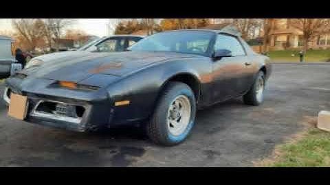 1982 Pontiac Firebird S/E