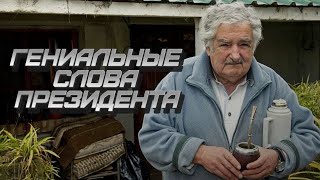 Гениальность этих слов поражает! Хосе Мухика мудрые слова. Самый бедный президент мира