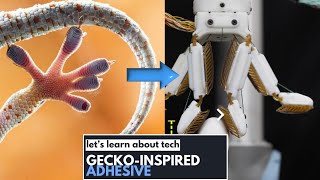 Gecko-inspired Adhesives