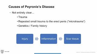 Men's Health Moment: Peyronie's Disease Introduction and Overview