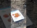 ដាំដំណាំខែឧសភា
