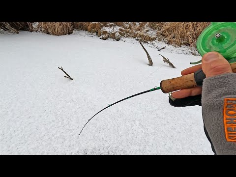 Первый лд ВСТАЛ ЗАНОВО! На ПРОСТУЮ БЛЕСНУ из коряг.. Щука, Окунь! Зимняя рыбалка