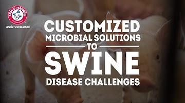 Lab View of How CERTILLUS and Microbial Terroir Build Resiliency in Swine Operations