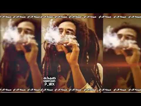 اغنية احسلك تنسا صامخا