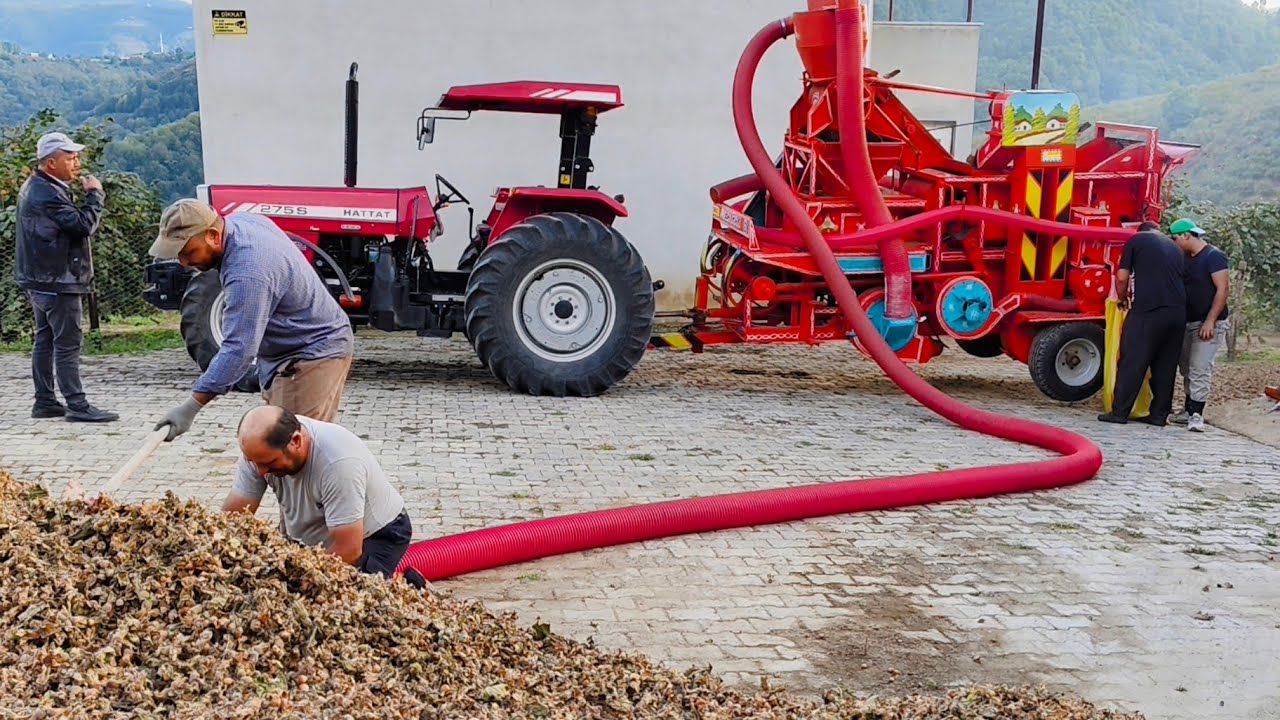 🌰🚜 Köyde Fındık Harmanı! Patoz Maceramız ve Bereketli Gün | Vlog
