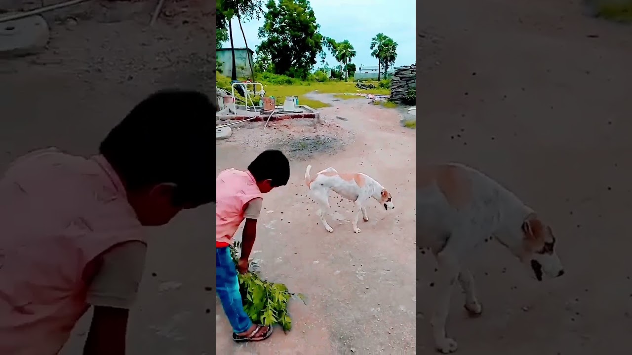 enni kastalunna song 😂funny comedy videos @charan tej364