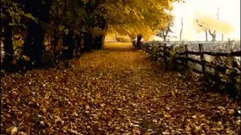 ‫تلاوة للمقرئ أنس الغامدي - لم أجد لها أي تعليق.flv