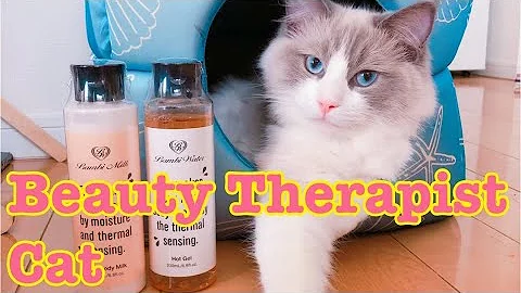 Watch the video about ARE YOU READY?