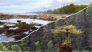 This Wild Rugged Canadian West Coast Town is beautiful!!! (Port Renfrew, BC)🇨🇦 | Life By Nathanael