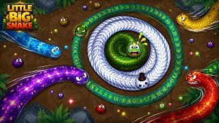 Little  Big Snake Epic Circle Trap 🐍 | Biggest Snake vs Small Snake Gameplay | Insane Survival! screenshot 1